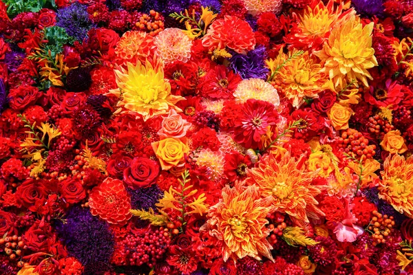아름다운 꽃들의 스터와 장미꽃 위에서 — 스톡 사진