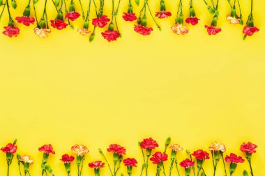 Karanfil çiçekleri sarı arka planda sınırdır. Anneler günü, sevgililer günü, doğum günü kutlaması konsepti. Metin için boşluk kopyala, üst görünüm
