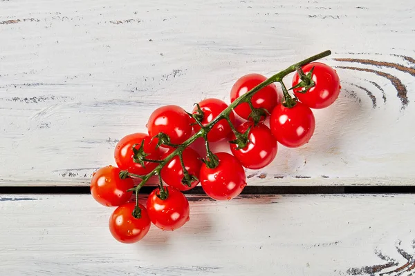 Kiraz domates Şubesi. — Stok fotoğraf