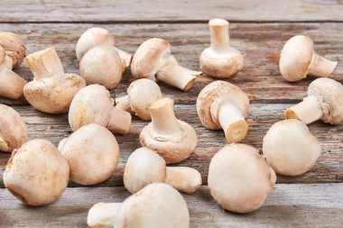 Petrol odun yığını.