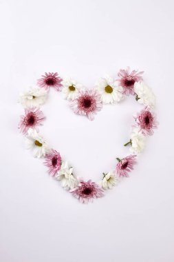 Kalp şeklinde nazik krizantem.