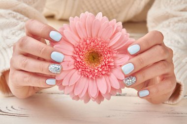 Güzel kadın ellerde nazik gerbera. 