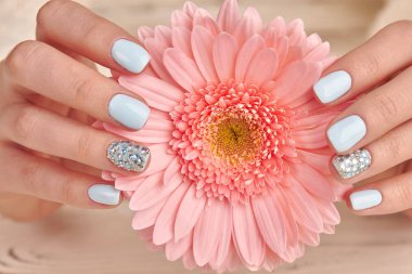 Cose-up narin pembe gerbera ve mavi manikür. 