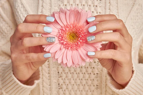 Różowy gerbera z manicure niebieski. — Zdjęcie stockowe