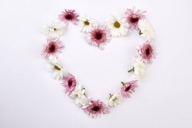 Güzel Çiçekler arka planı.