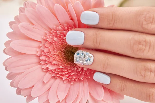 Bir kadının manikür ve pembe gerbera Close-Up. 