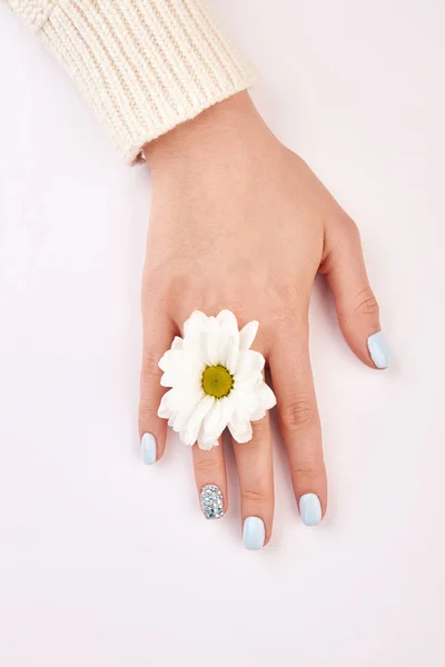 Beautiful female hand with a flower between the fingers.