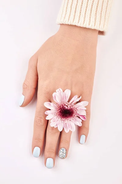 Manicure azul doce com um crisântemo rosa . — Fotografia de Stock