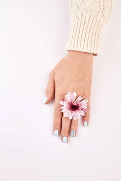 Vrouwelijke hand met een bloem op een witte achtergrond. — Stockfoto