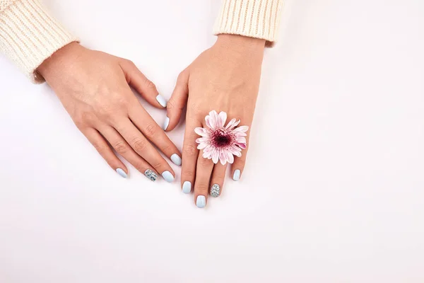 Well-groomed vrouwelijke handen met een roze chrysant. — Stockfoto