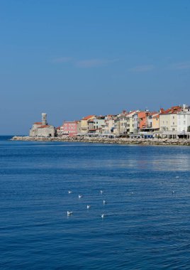  pitoresk eski kasaba piran