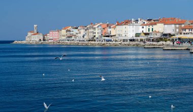  pitoresk eski kasaba piran