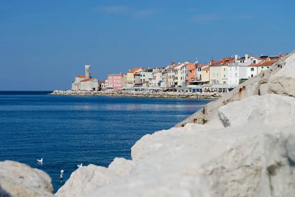 Pitoresca cidade velha piran — Fotografia de Stock