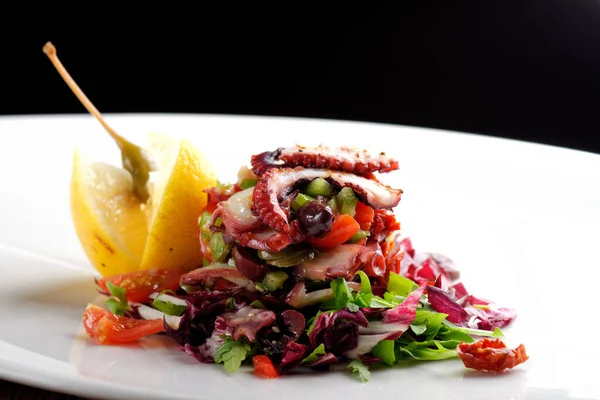 Tintenfischsalat Mit Zitronenscheibe Tomaten Und Salat — Stockfoto