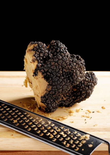 Giant Expensive Rare Black Truffle Mushroom — Stock Photo, Image