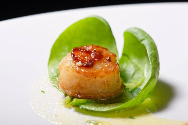 Sluiten Scallop Zeevruchten Voorgerecht Met Kruiden — Stockfoto