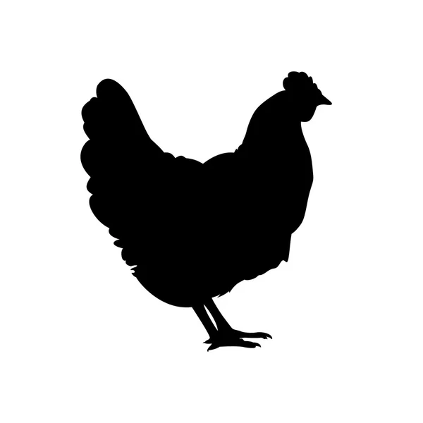 Φάρμα πτηνών. Κότα σιλουέτα — Διανυσματικό Αρχείο