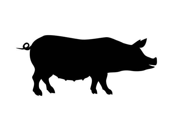Silhueta de porco. Animais de exploração . — Vetor de Stock