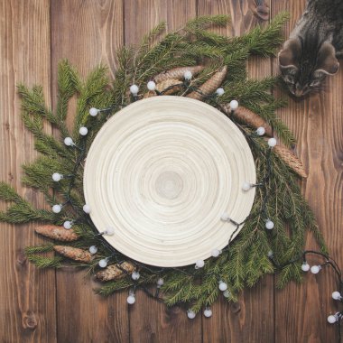 Arka plan Christmas (yeni yıl). Koniler ile çam dalları