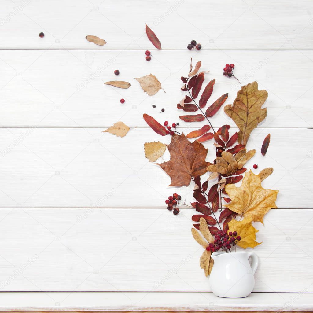 Autumn Still Life. Fallen leaves in vase on white background