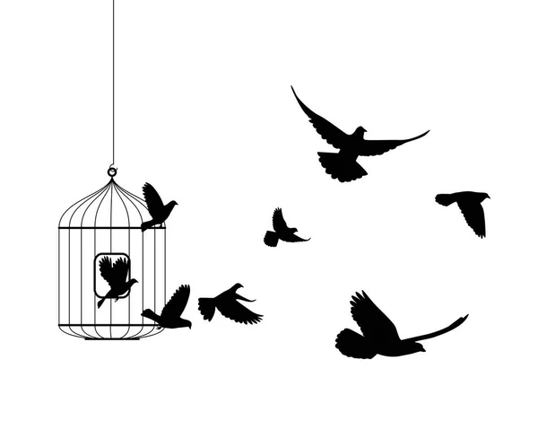 Símbolo de liberación. Pájaros que vuelan fuera de la jaula — Archivo Imágenes Vectoriales