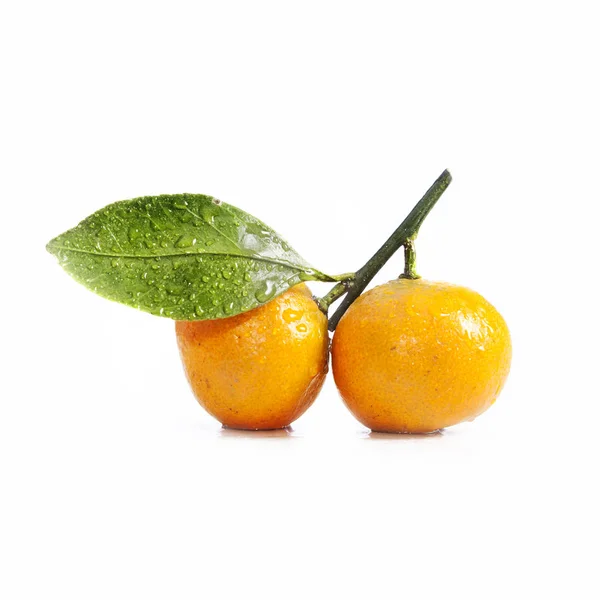 Two tangerine (mandarin) with leaf on white background — Stock Photo, Image