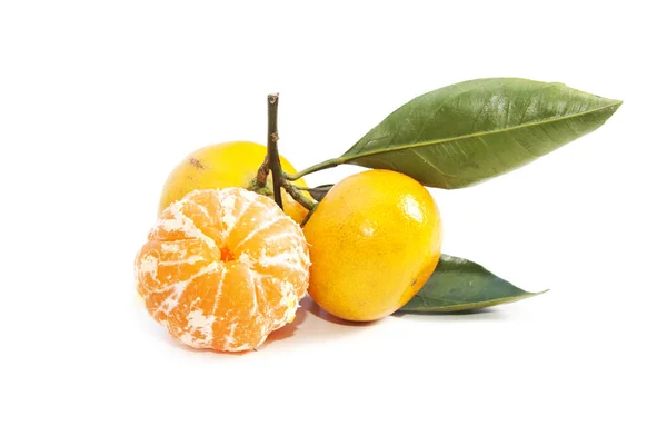 Tangeriner (mandariner) med blad på vit bakgrund — Stockfoto