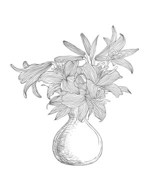 Lily çiçek vazo. Doğrusal illüstrasyon
