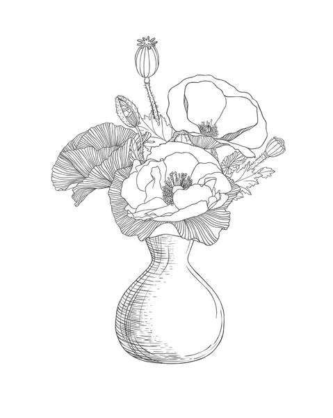 Vase avec des fleurs de pavot. Illustration linéaire — Image vectorielle