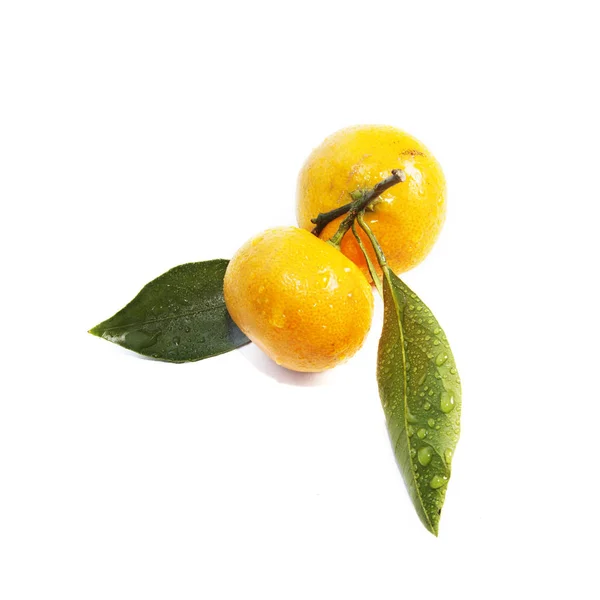 Två mandarin (mandarin) med blad på vit bakgrund — Stockfoto
