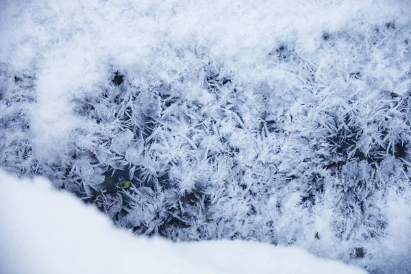 雪的纹理。在冰上霜 — 图库照片