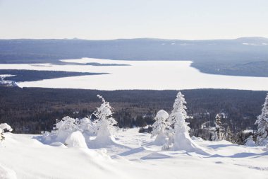 Dağ Zyuratkul, kış manzarası. Ladin kar kaplı
