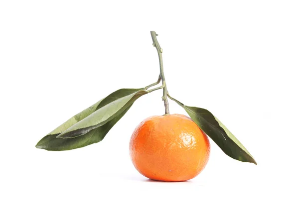 Tangerine (Mandarijn) met leaf op witte achtergrond — Stockfoto