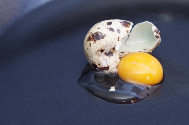 Bıldırcın yumurta tava içine kırık