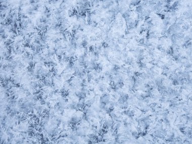 Frost desen buz üstünde.