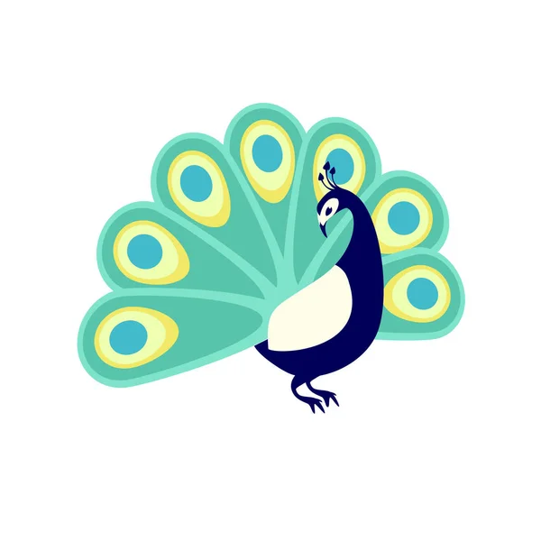 Peacock. Platte vectorillustratie — Stockvector