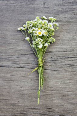 Küçük alan papatya buketi eski ahşap zemin üzerine