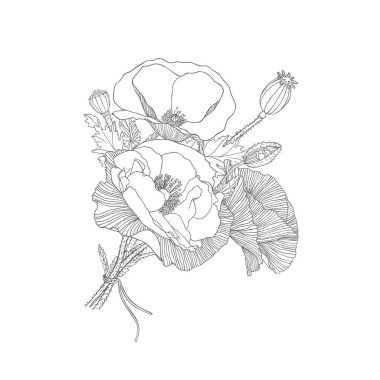 Haşhaş çiçekleri buketi vektör