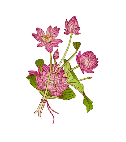 Vector illustration of lotus flower bouquet — Stock Vector