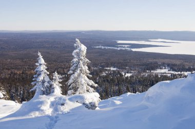 Kış manzarası. Dağ Zyuratkul. Kar köknar tre kaplı