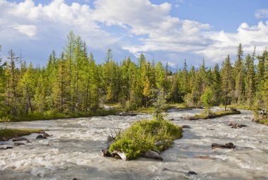 Dağ nehir. Altay. Rusya