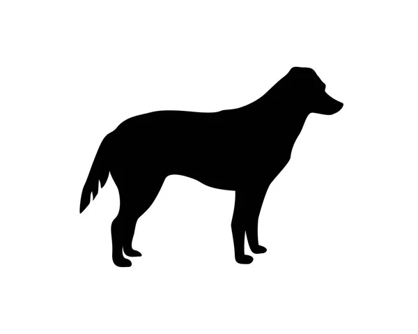 Silueta de perro sobre fondo blanco — Vector de stock