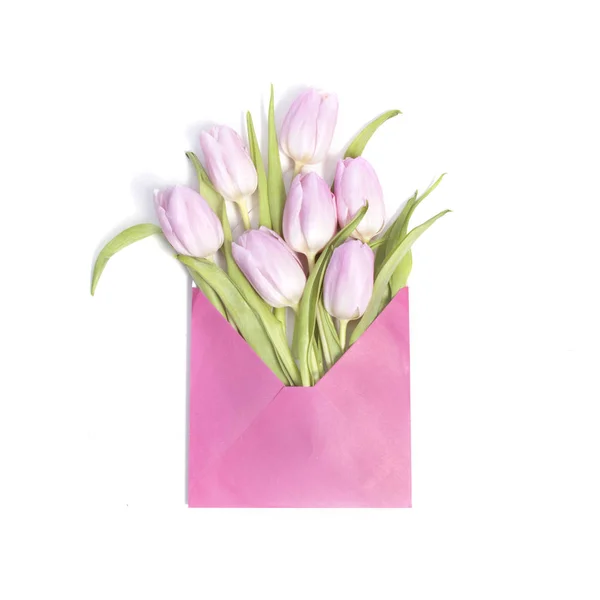 Flores de tulipa rosa no fundo branco — Fotografia de Stock