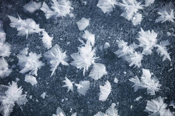 氷の上の霜パターン。冬の背景 — ストック写真