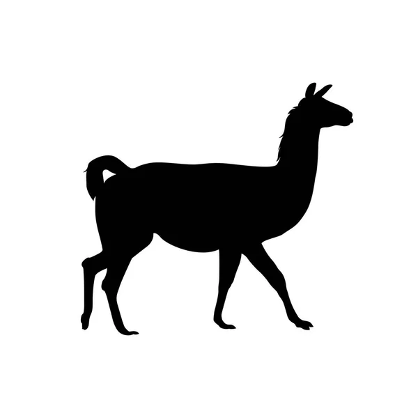 Silhueta vetorial alpaca (vicuna, llama) — Vetor de Stock