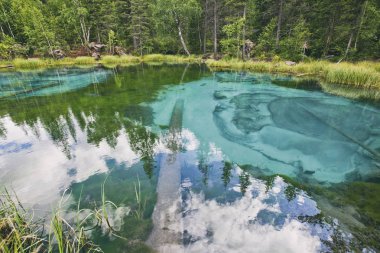 Mavi kil ile Şofben dağ gölü. Altay, Rusya Federasyonu