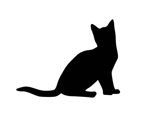 Silueta de gato sobre fondo blanco . — Vector de stock