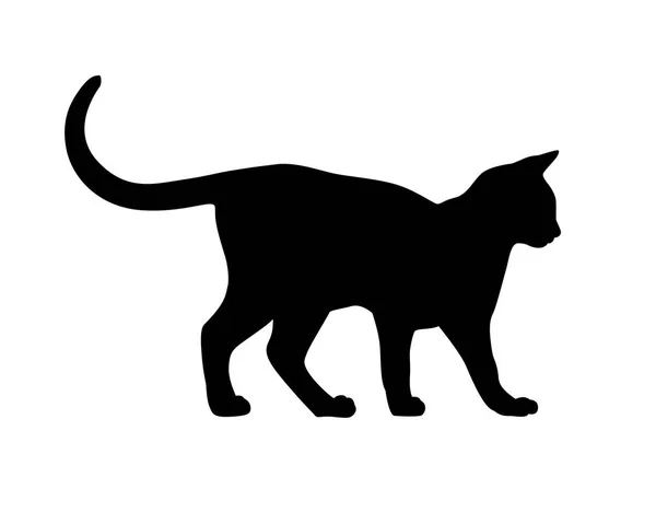 Silueta kočky na bílém backgruond — Stockový vektor