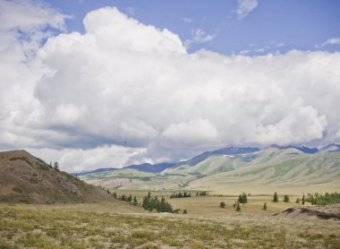Altay doğa. Yaz manzara. Rusya