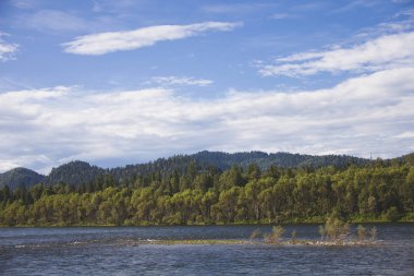 Biya nehir manzara. Altay. Rusya